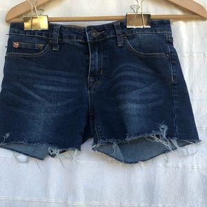 Hudson Jean Shorts